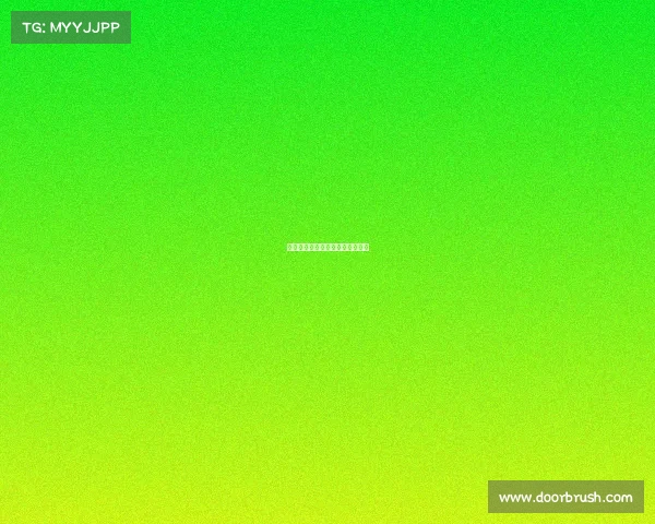 篮球美洲赛事数据、美洲篮球比赛